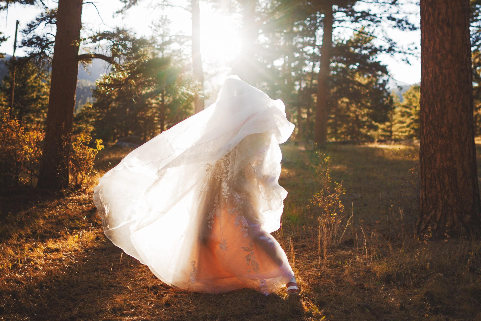 Person in a flowing dress walks through a sunlit forest, with fabric billowing in the breeze.