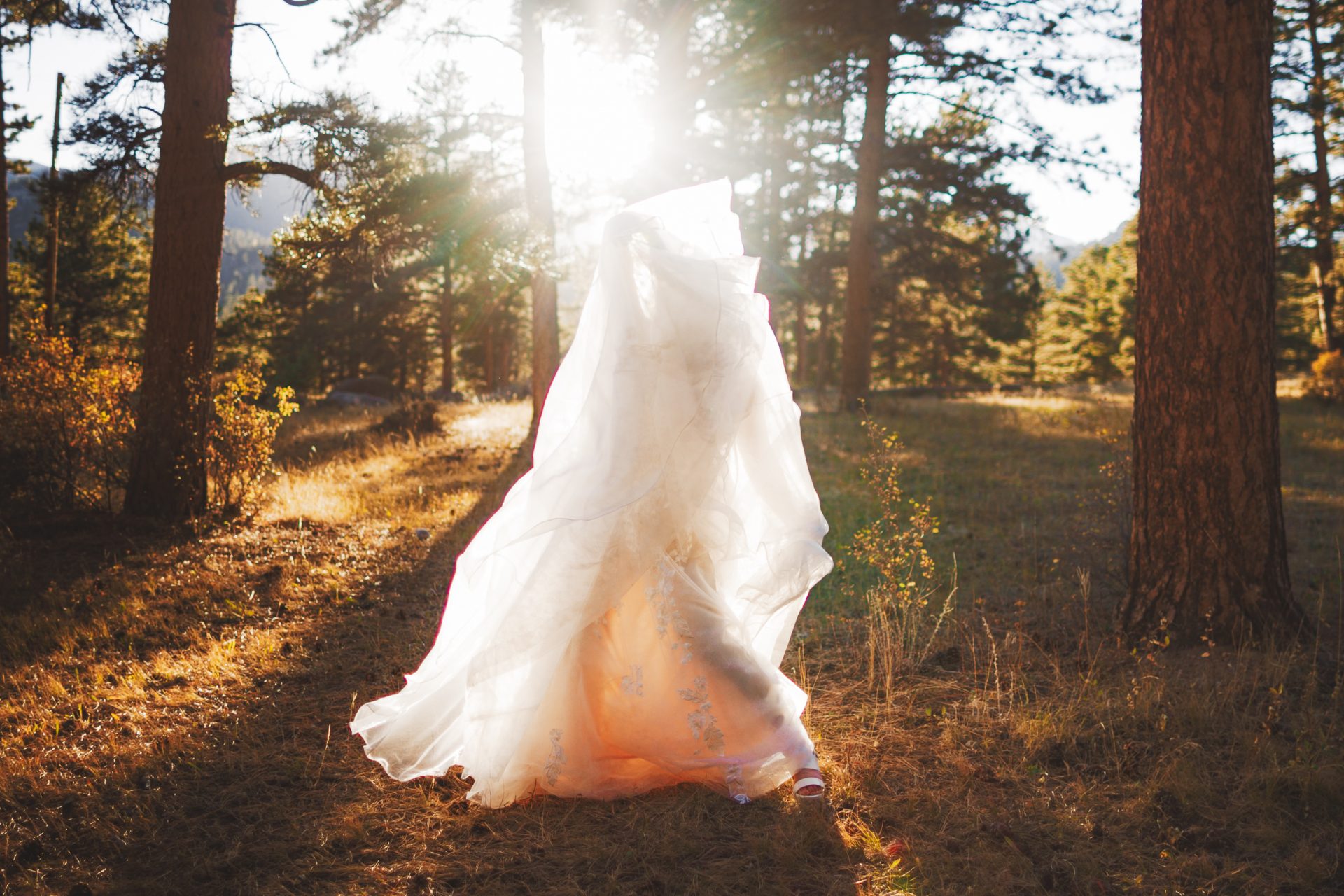 A bride in a flowing white dress walks through a sunlit forest.