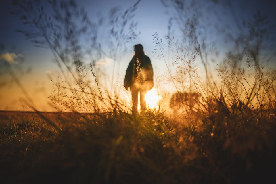 Silhouette of a person standing in a field with tall grass at sunset, as if an auto draft sketch captures the serene moment in nature’s golden glow.