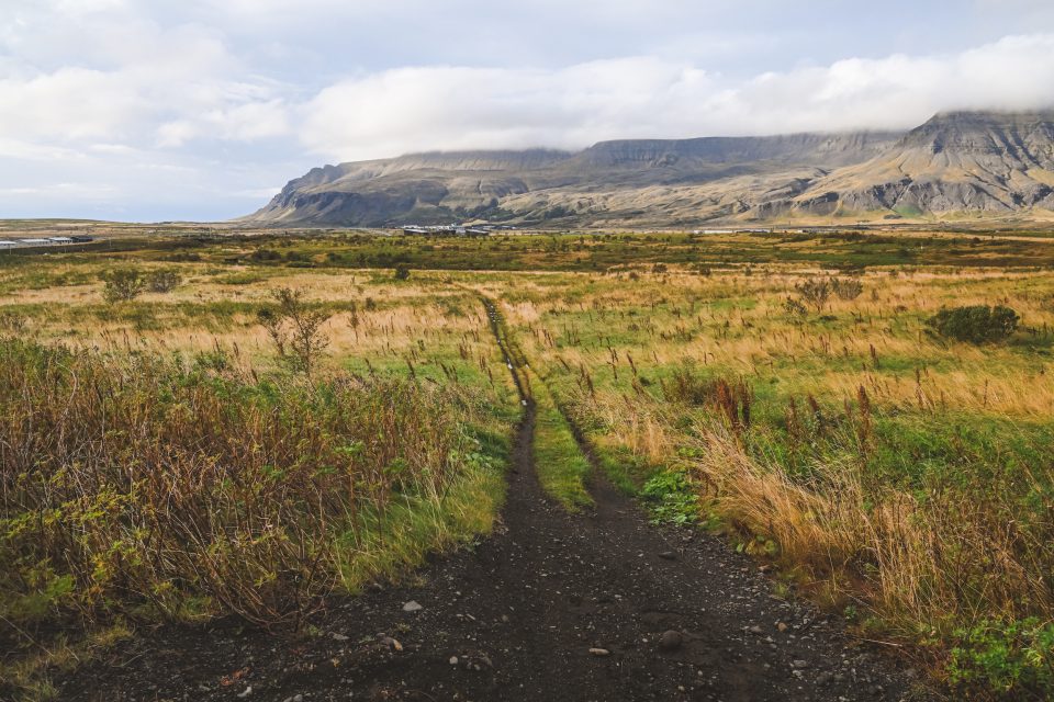 A narrow dirt path, like an auto draft of nature's design, leads through a grassy field towards distant mountains under a cloudy sky.
