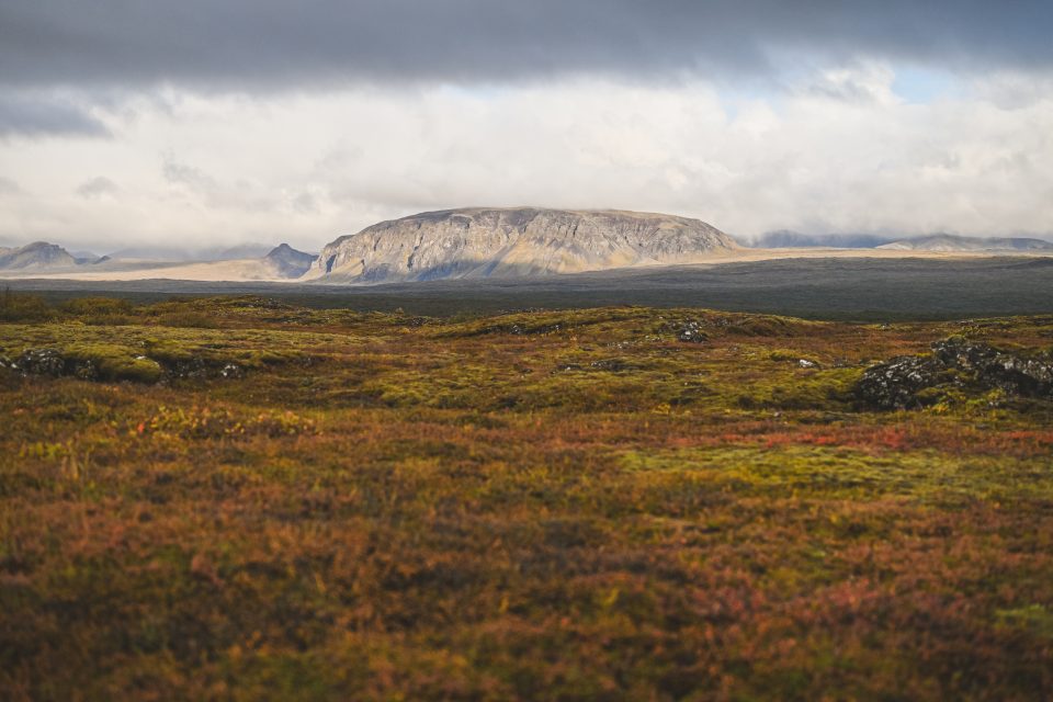 A cloudy sky drapes over a vast, grassy landscape, with a prominent rocky hill in the distance resembling an artist's auto draft of nature's serene masterpiece.