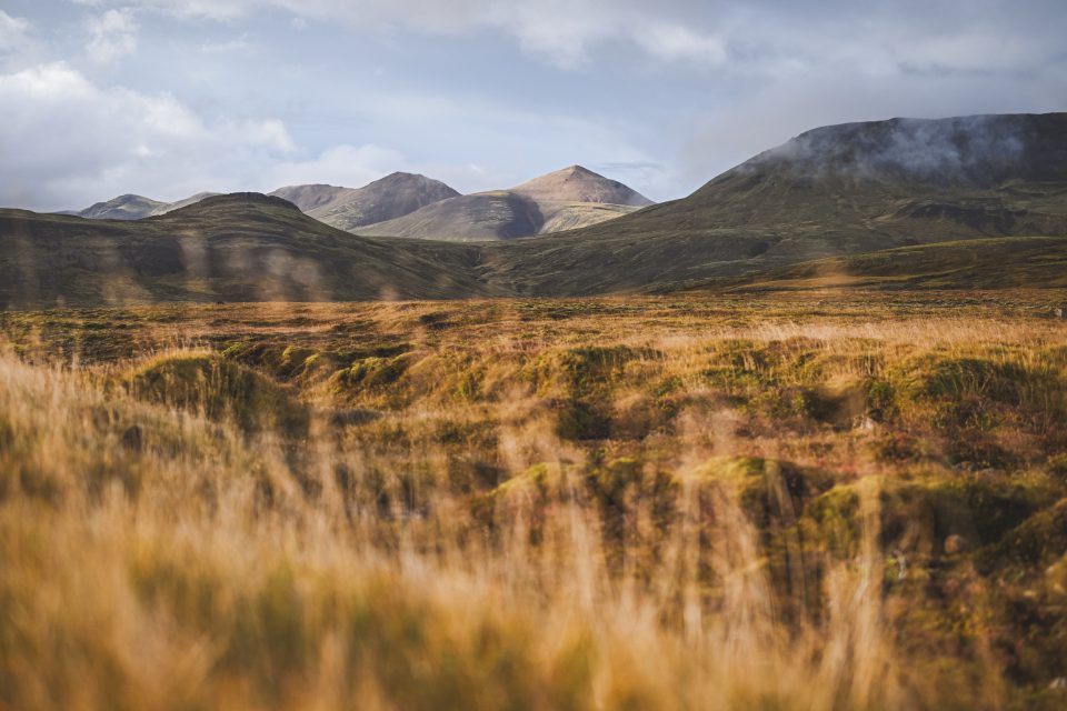 A grassy landscape with rolling hills under a cloudy sky, captured as if through the lens of a Nikon Z8, features distant mountains partially shrouded in mist.