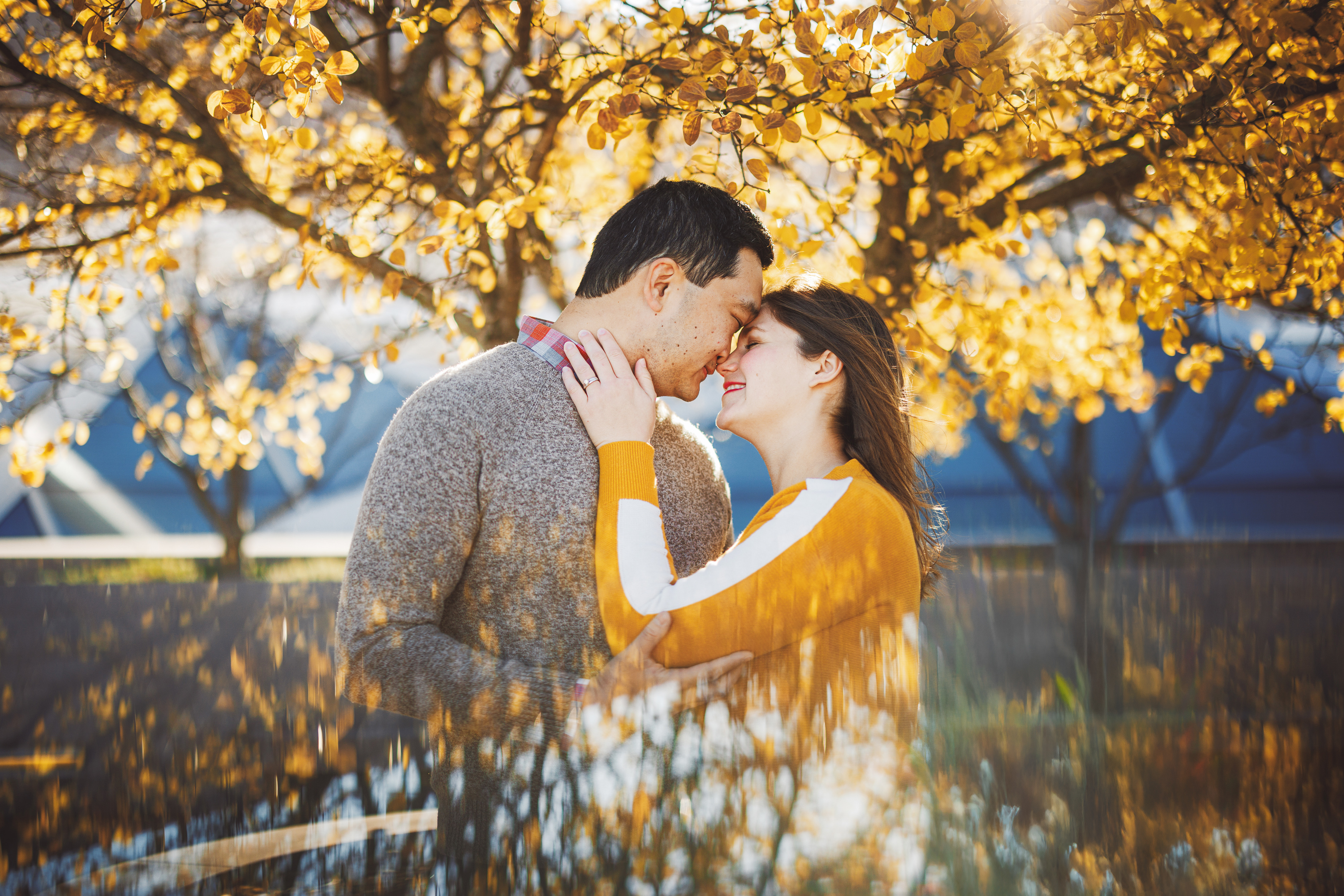 A couple stands closely under a tree with yellow leaves, smiling at each other in a sunlit setting.