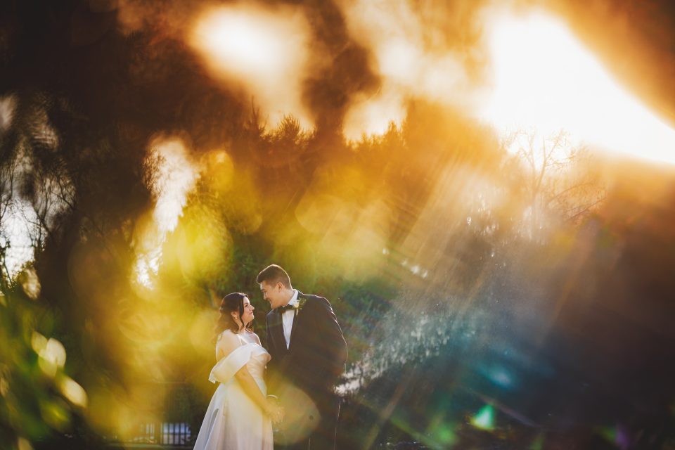 A couple in formal attire stands facing each other under a vibrant, sunlit sky with trees in the background.