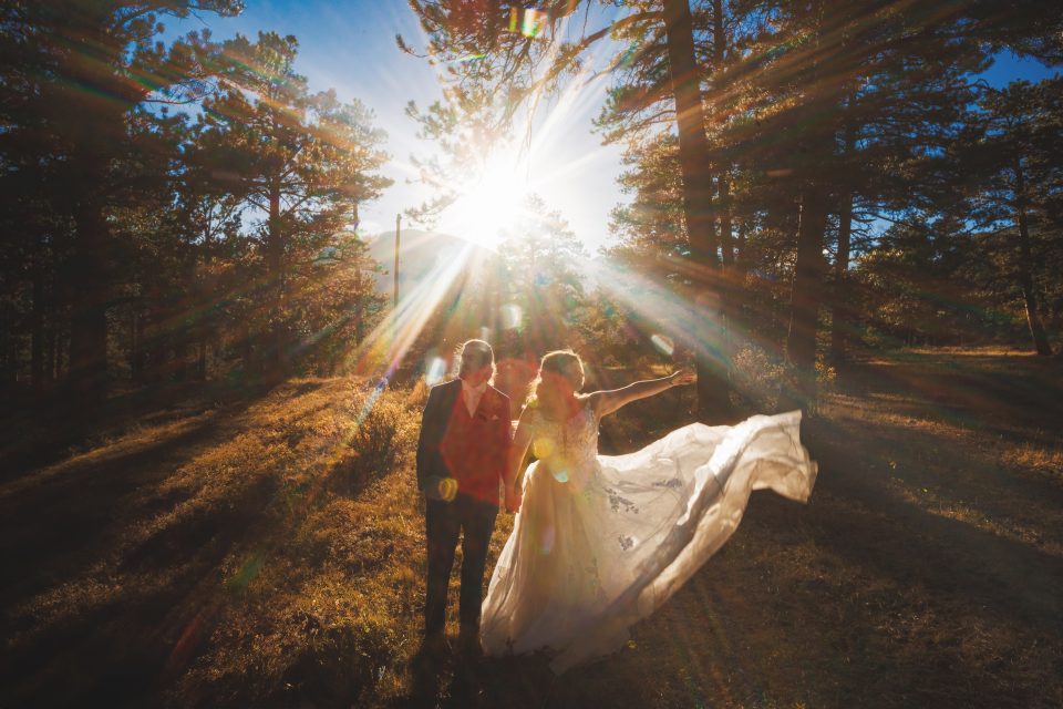 A couple in wedding attire stands in a sunlit forest, with sunlight streaming through the trees and illuminating the flowing dress.