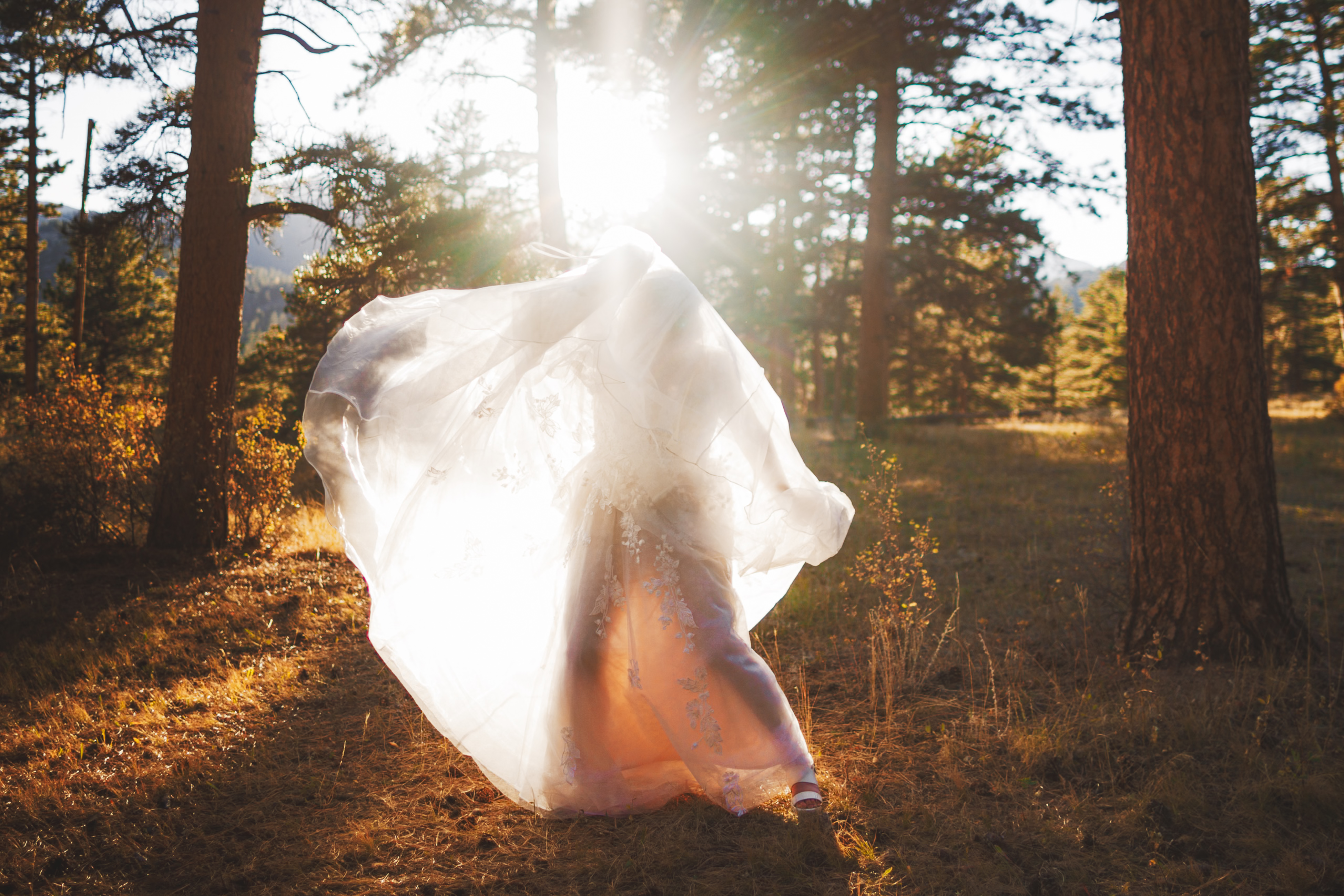 A person in a flowing dress twirls in a sunlit forest, with sunlight streaming through the trees.