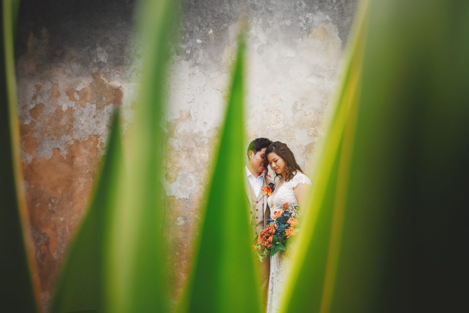A couple in wedding attire stands closely together behind green plant leaves, with a textured wall in the background.