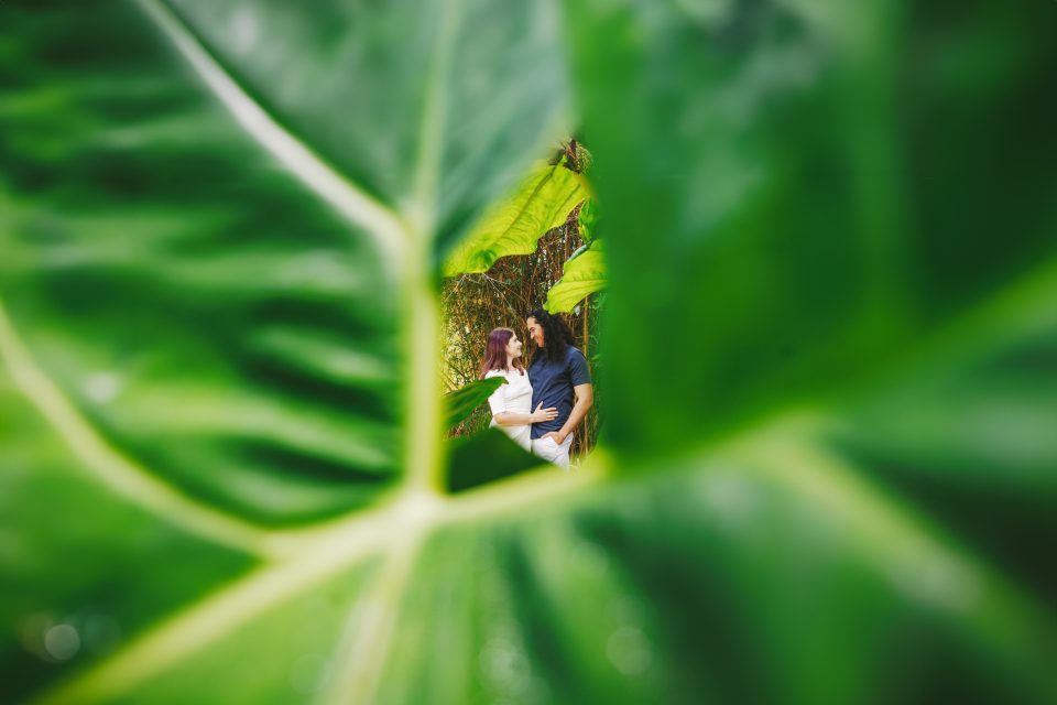 Couple standing and embracing, framed by large green leaves in the foreground.