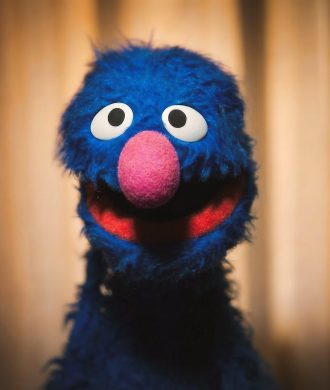 Epic Portrait Grover Monster